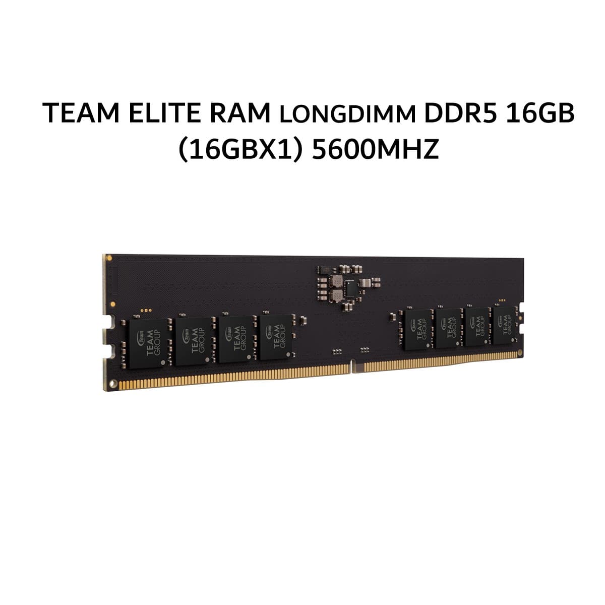 TEAM ELITE RAM LONGDIMM DDR5 16GB (16GBX1) 5600MHZ