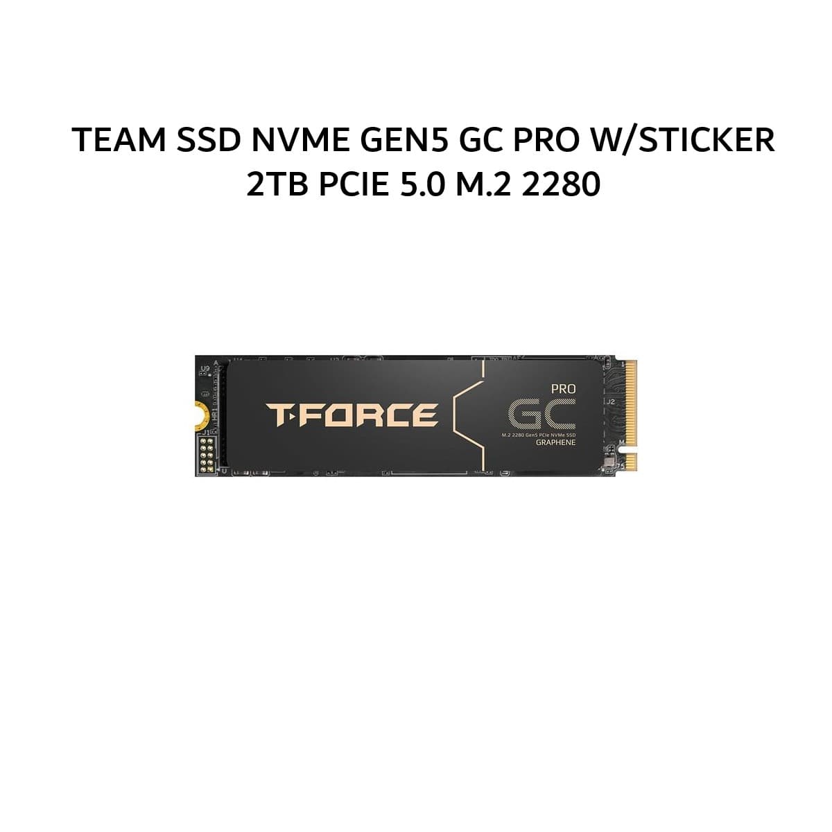 TEAM SSD NVME GEN5 GC PRO W/STICKER 2TB PCIE 5.0 M.2 2280 5Y - UP TO 12500 MB/S