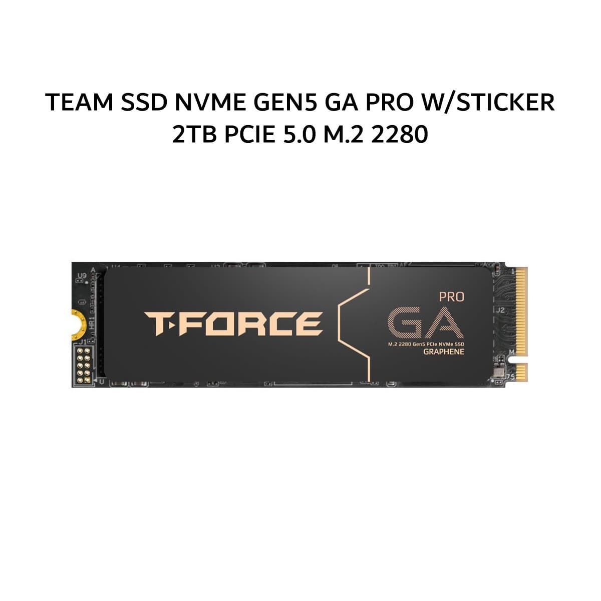 TEAM SSD NVME GEN5 GA PRO W/STICKER 2TB PCIE 5.0 M.2 2280 5Y - UP TO 10000 MB/S
