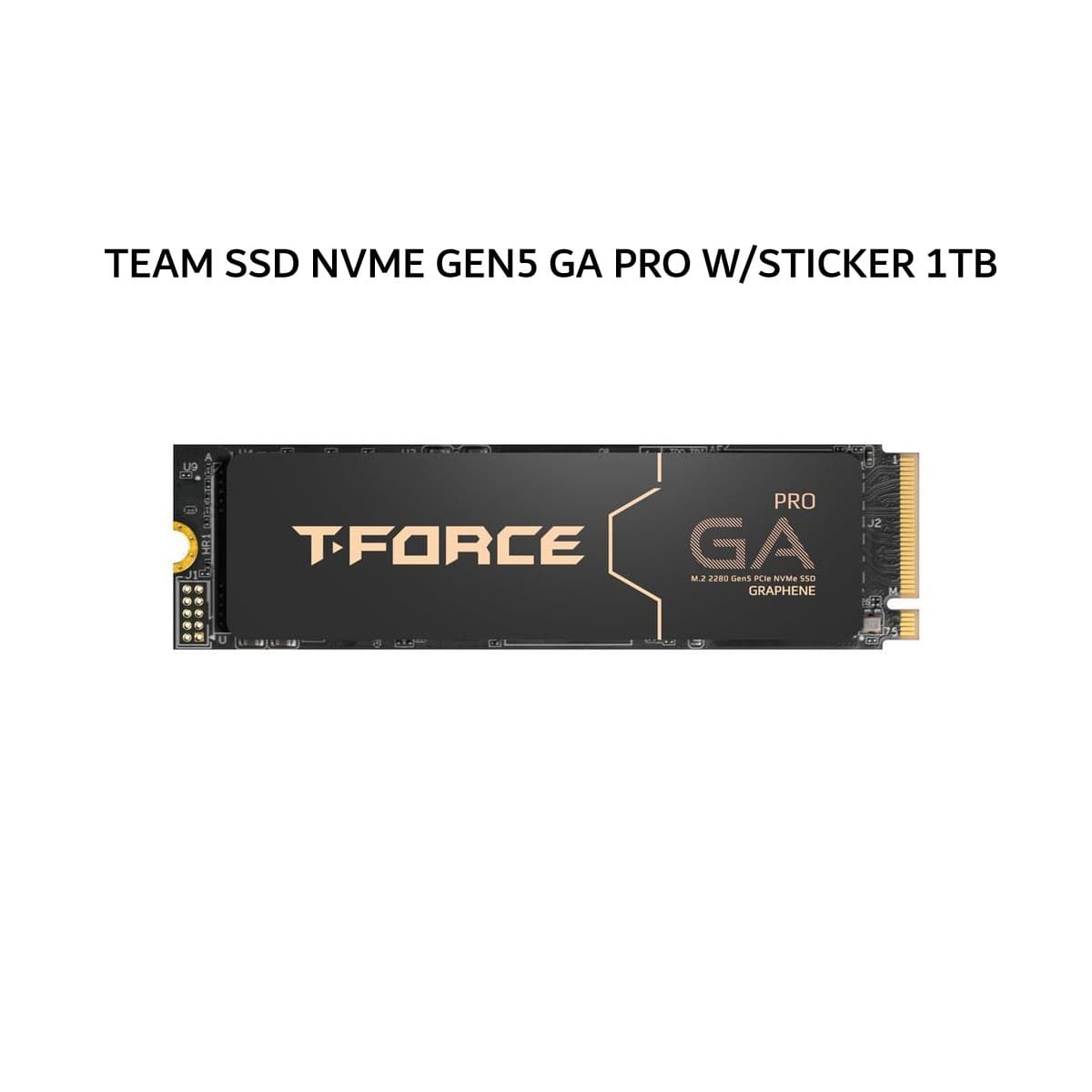 TEAM SSD NVME GEN5 GA PRO W/STICKER 1TB PCIE 5.0 M.2 2280 5Y - UP TO 10000 MB/S