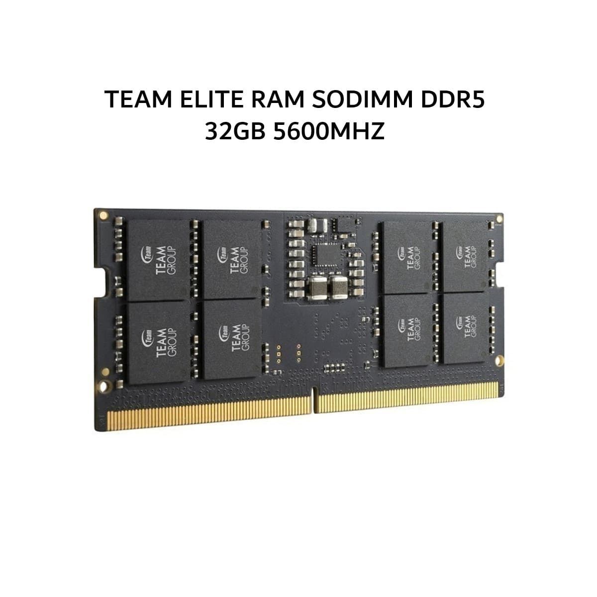 TEAM ELITE RAM SODIMM DDR5 32GB 5600MHZ