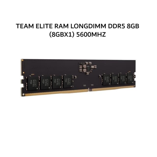 TEAM ELITE RAM LONGDIMM DDR5 8GB (8GBX1) 5600MHZ