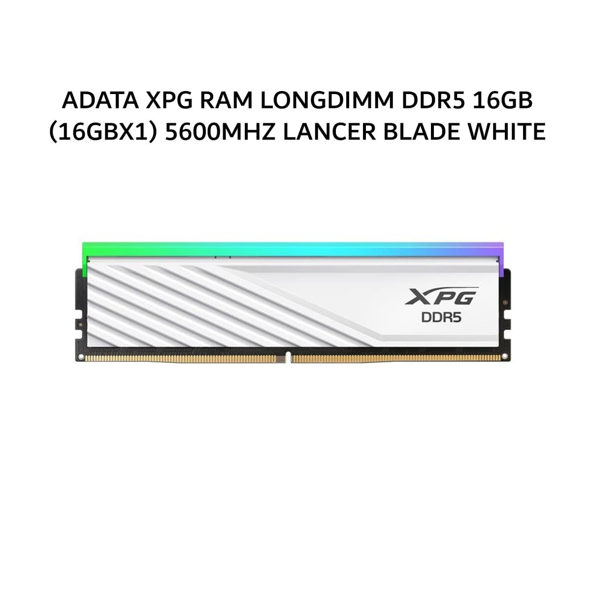 ADATA XPG RAM LONGDIMM DDR5 16GB (16GBX1) 5600MHZ LANCER BLADE WHITE