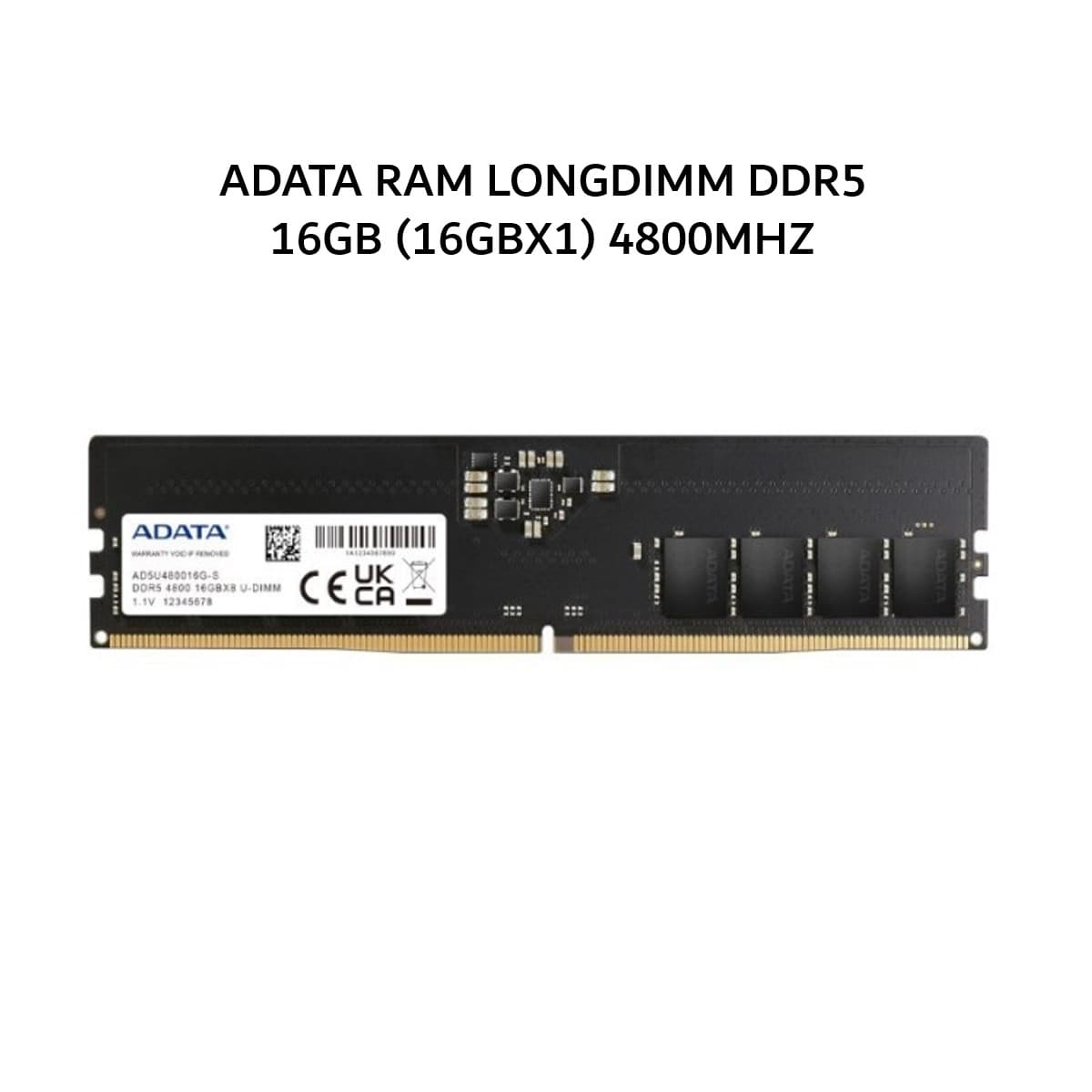 ADATA RAM LONGDIMM DDR5 16GB (16GBX1) 4800MHZ
