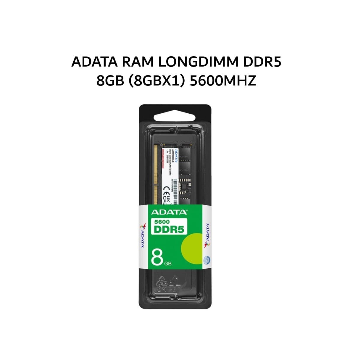 ADATA RAM LONGDIMM DDR5 8GB (8GBX1) 5600MHZ