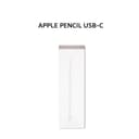 APPLE PENCIL USB-C GARANSI RSMI APPLE INDONESIA - Variant 1