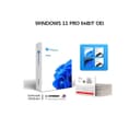 WINDOWS 11 PRO 64BIT OEI - Variant 1