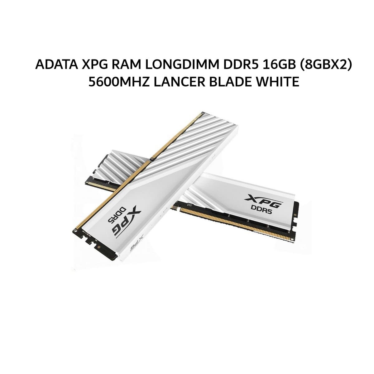 ADATA XPG RAM LONGDIMM DDR5 16GB (8GBX2) 5600MHZ LANCER BLADE WHITE