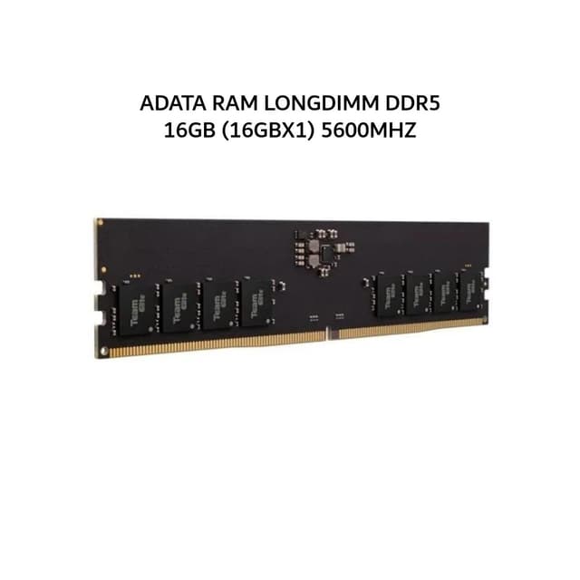 ADATA RAM LONGDIMM DDR5 16GB (16GBX1) 5600MHZ