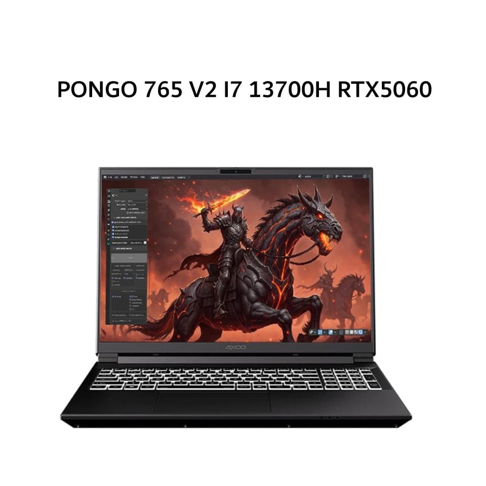 AXIOO PONGO 765 V2 I7 13700H RTX5060 8GB/ 16GB 512GB W11 16.0WUXGA 165HZ 100SRGB RGB 3Y GRY