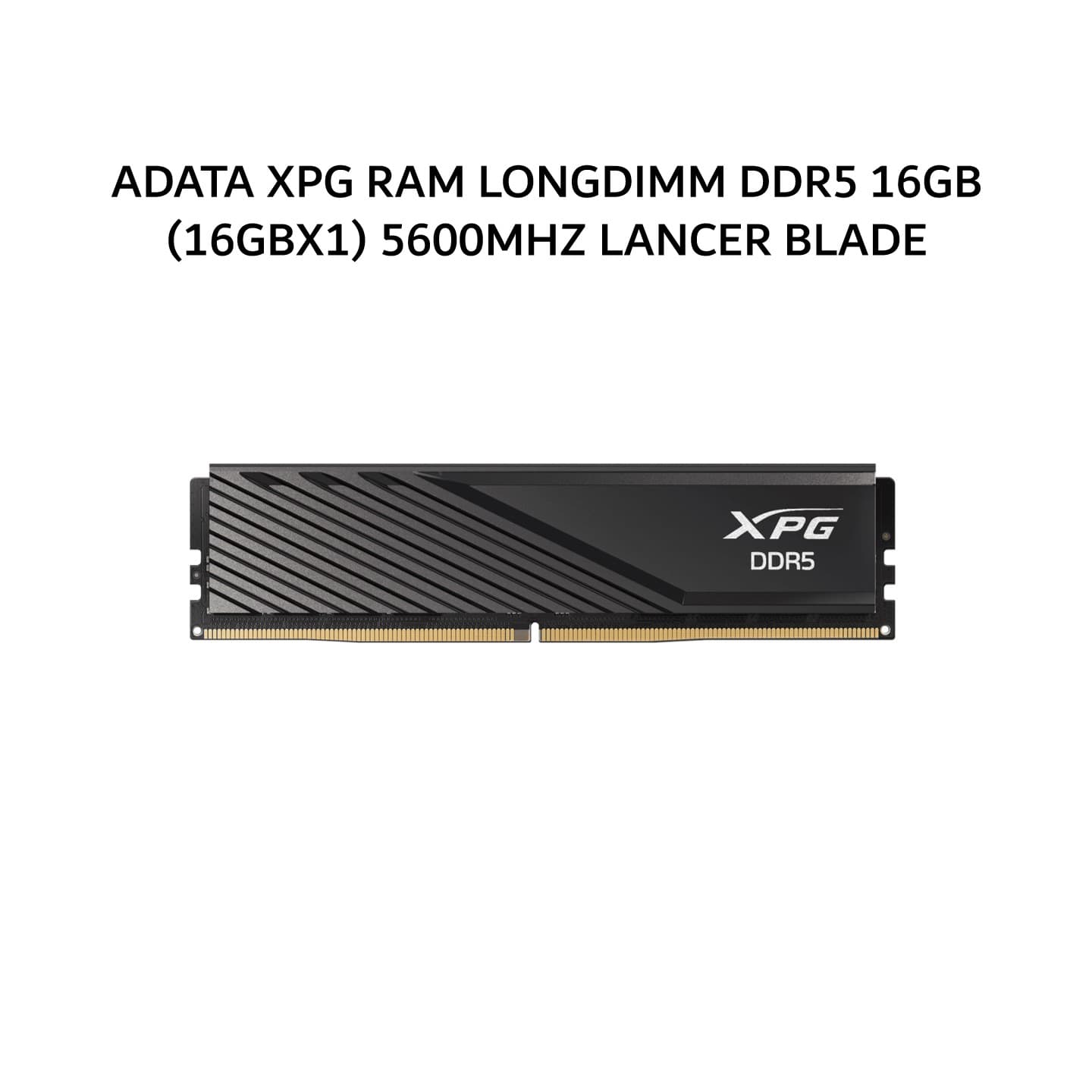 ADATA XPG RAM LONGDIMM DDR5 16GB (16GBX1) 5600MHZ LANCER BLADE BLACK