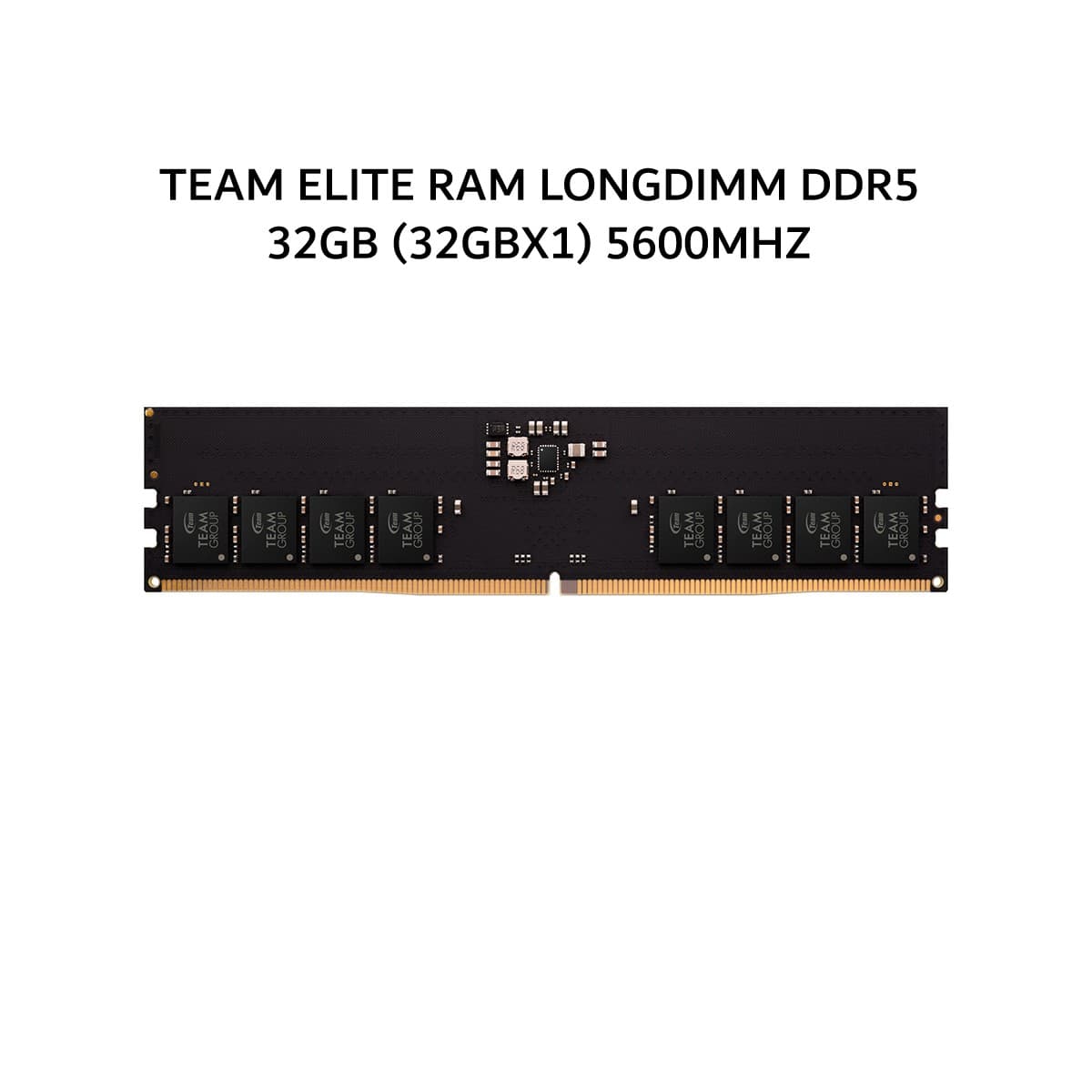 TEAM ELITE RAM LONGDIMM DDR5 32GB (32GBX1) 5600MHZ