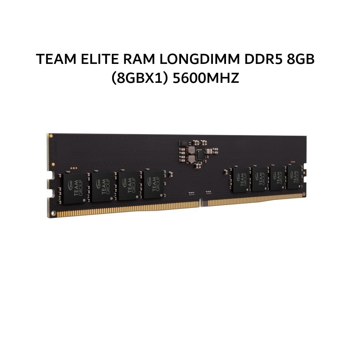 TEAM ELITE RAM LONGDIMM DDR5 8GB (8GBX1) 5600MHZ
