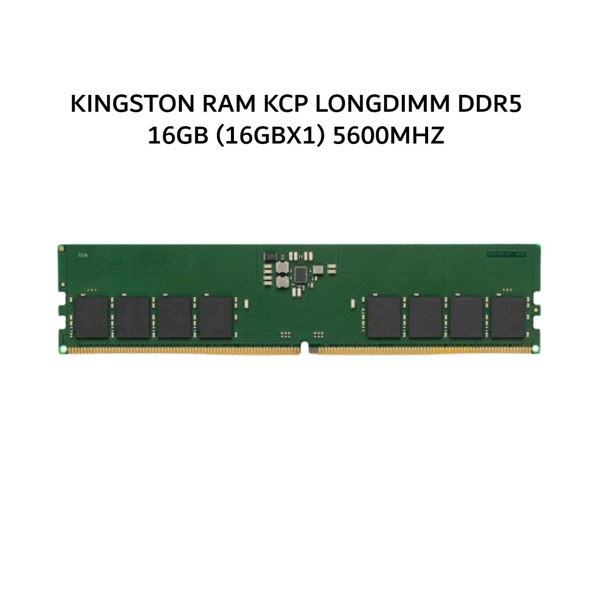 KINGSTON RAM KCP LONGDIMM DDR5 16GB (16GBX1) 5600MHZ