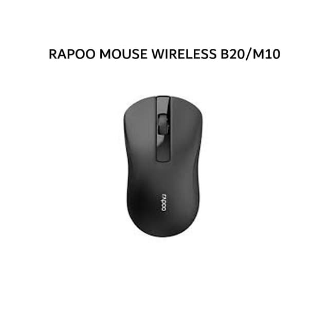 RAPOO MOUSE WIRELESS B20/M10
