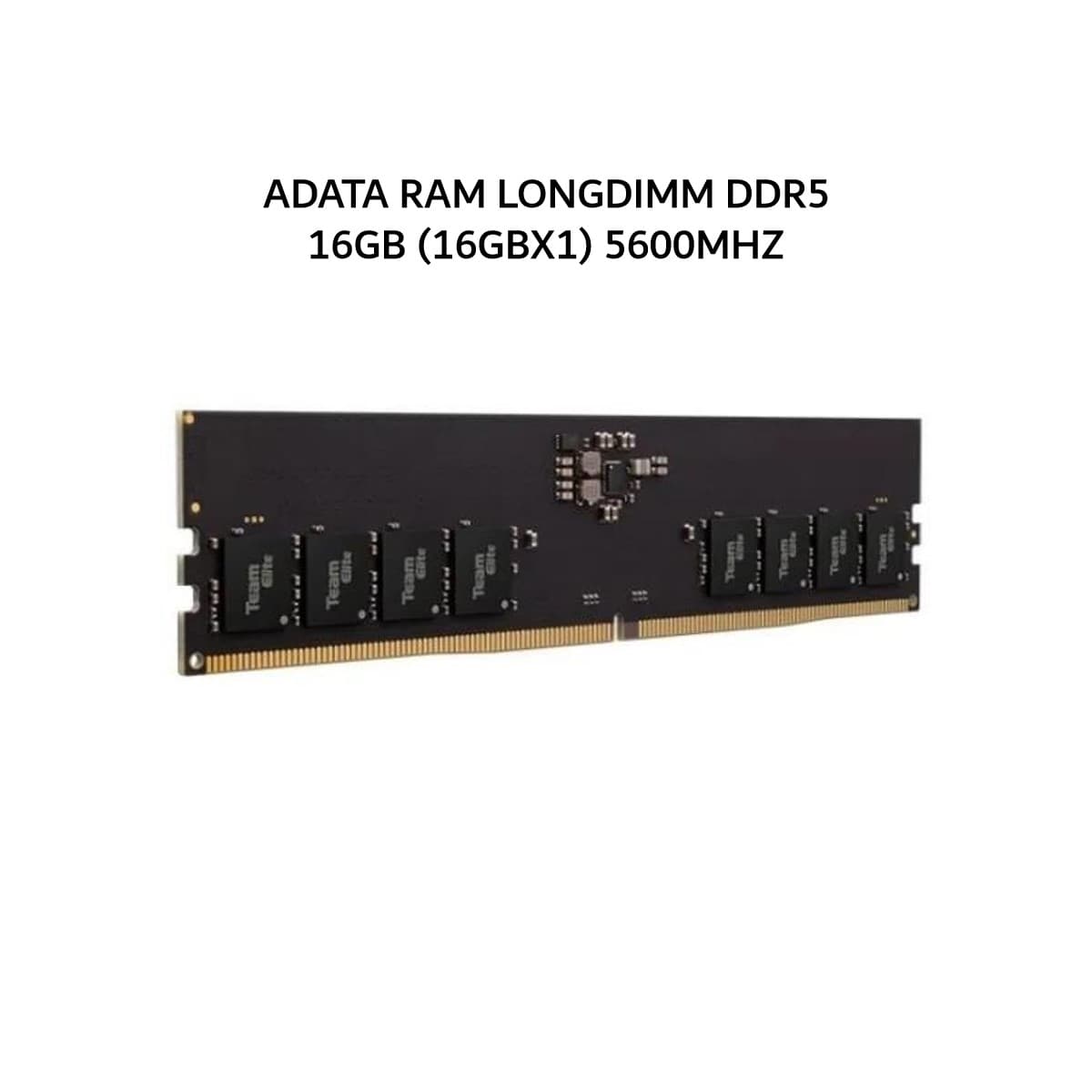 ADATA RAM LONGDIMM DDR5 16GB (16GBX1) 5600MHZ