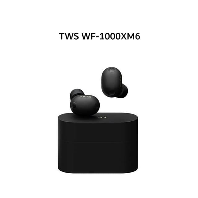 SONY WF-1000XM6 / WF 1000XM6 TWS ANC LDAC - BLACK